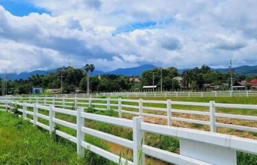 ที่ดิน สวยทำเล ใกล้ ร.ร เปรมนานชาติแม่ริม สำหรับท่านที่กำลังมองหาที่ดินไม่ไกลจากเมืองเชียงใหม่