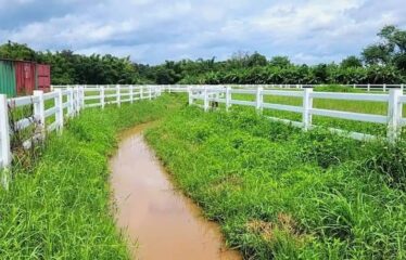 ที่ดิน สวยทำเล ใกล้ ร.ร เปรมนานชาติแม่ริม สำหรับท่านที่กำลังมองหาที่ดินไม่ไกลจากเมืองเชียงใหม่