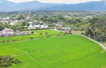 ที่นาวิวสวย ใกล้ ร.รนานาชาติเปรม ติดถนนคอนกรีต และน้ำแม่ริม โฉนด ที่ตั้ง ต.ห้วยทราย อ.แม่ริม จ.เชียงใหม่