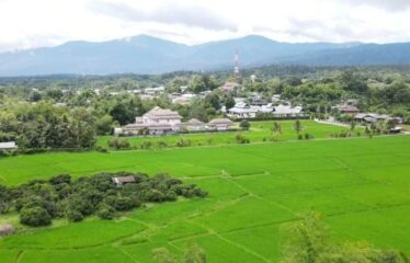 ที่นาวิวสวย ใกล้ ร.รนานาชาติเปรม ติดถนนคอนกรีต และน้ำแม่ริม โฉนด ที่ตั้ง ต.ห้วยทราย อ.แม่ริม จ.เชียงใหม่