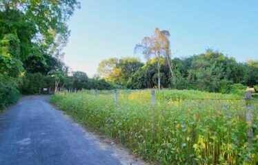 ขายที่ดิน 2 แปลง ไฟฟ้าน้ำประปาพร้อม โฉนดพน้อมโอน อยู่ในแหล่งชุมชน ที่ตั้ง ต.สันโป่ง อ.แม่ริม จ.เชียงใหม่