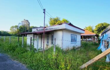 ขายที่ดิน 2 แปลง ไฟฟ้าน้ำประปาพร้อม โฉนดพน้อมโอน อยู่ในแหล่งชุมชน ที่ตั้ง ต.สันโป่ง อ.แม่ริม จ.เชียงใหม่