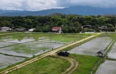 ที่ดินสวยปลอดมลพิษ ทำเลทอง ใกล้ชุมชน วิวเขา วิวนา สาธารณูปโภค น้ำ ไฟ ถนนครบ