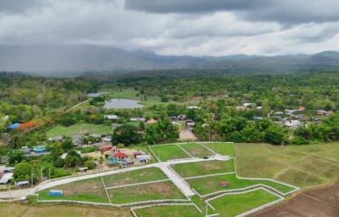 ที่ดิน สวยทำเล ใกล้ ร.ร เปรมนานชาติแม่ริม