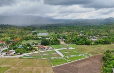 ที่ดิน สวยทำเล ใกล้ ร.ร เปรมนานชาติแม่ริม