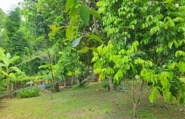 บ้านสวย บ้านสวนวิวสวย พร้อมเข้าอยู่ บรรยากาศดี เหมาะทำบ้านพักส่วนตัว ที่ตั้ง ต.สบเปิง อ.แม่แตง จ.เชียงใหม่