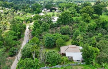 บ้านสวย บ้านสวนวิวสวย พร้อมเข้าอยู่ บรรยากาศดี เหมาะทำบ้านพักส่วนตัว ที่ตั้ง ต.สบเปิง อ.แม่แตง จ.เชียงใหม่