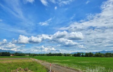 ที่ดิน วิวเขา วิวสันเขื่อนแม่งัด วิวทุ่งนา