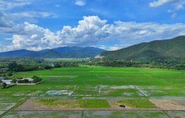 ที่ดิน วิวเขา วิวสันเขื่อนแม่งัด วิวทุ่งนา