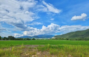 ที่ดิน วิวเขา วิวสันเขื่อนแม่งัด วิวทุ่งนา