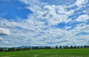 ที่ดิน วิวเขา วิวสันเขื่อนแม่งัด วิวทุ่งนา