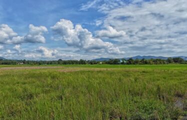 ที่ดิน วิวเขา วิวสันเขื่อนแม่งัด วิวทุ่งนา