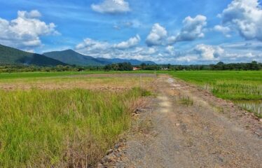 ที่ดิน วิวเขา วิวสันเขื่อนแม่งัด วิวทุ่งนา