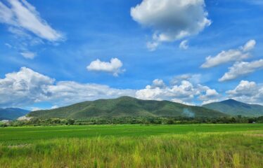 ที่ดิน วิวเขา วิวสันเขื่อนแม่งัด วิวทุ่งนา