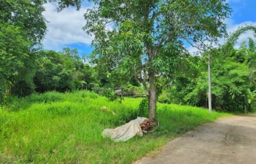 ขายที่ดิน ติดถนนสองด้าน ไฟน้ำพร้อม ไม่เปลี่ยว เหมาะสร้างบ้านขาย หรือแบ่งขาย