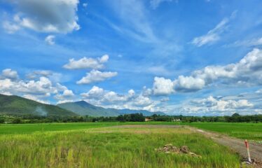 ที่ดิน วิวเขา วิวสันเขื่อนแม่งัด วิวทุ่งนา