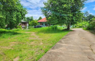 ขายที่ดิน ติดถนนสองด้าน ไฟน้ำพร้อม ไม่เปลี่ยว เหมาะสร้างบ้านขาย หรือแบ่งขาย