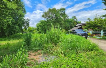 ขายที่ดิน ติดถนนสองด้าน ไฟน้ำพร้อม ไม่เปลี่ยว เหมาะสร้างบ้านขาย หรือแบ่งขาย