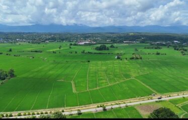 ขายที่นาวิวเขา วิวทุ่งนา ติดคลองชลประทาน ที่ตั้ง ต.ขี้เหล็ก อ.แม่ริม จ.เชียงใหม่