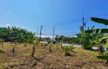 ขายที่ดินทำเลดีดี ติดทางหลวงสาย 107 เชียงใหม่-ฝาง