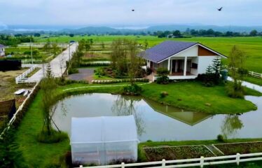 ขายบ้านสวน วิวทุ่งนา ภูเขาล้อมรอบบรรยากาศทุ่งนาที่มองเห็นความสวยงาม ของธรรมชาติ