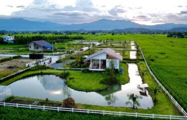 ขายบ้านสวน วิวทุ่งนา ภูเขาล้อมรอบบรรยากาศทุ่งนาที่มองเห็นความสวยงาม ของธรรมชาติ