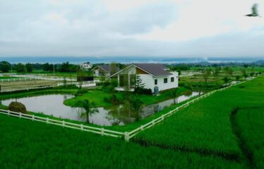 ขายบ้านสวน วิวทุ่งนา ภูเขาล้อมรอบบรรยากาศทุ่งนาที่มองเห็นความสวยงาม ของธรรมชาติ