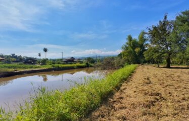 ขายที่ดินติดน้ำแม่ริม ติดทางหลวง 3009 แม่ริม-สะลวง แปลงสวย โฉนด