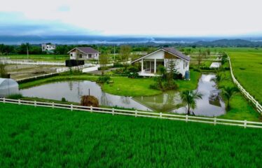 ขายบ้านสวน วิวทุ่งนา ภูเขาล้อมรอบบรรยากาศทุ่งนาที่มองเห็นความสวยงาม ของธรรมชาติ