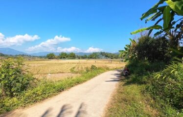 ขายที่ดินวิวเขาวิวทุ่งนา วิวเขาวิวสวย ส่วนตัว ที่ตั้ง ต.สบเปิง อ.แม่แตง จ.เชียงใหม่