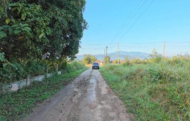 ขายที่ดินแปลงสวยติดทางหลวง 3009 แม่ริม-สะลวง ทำเลดีวิวเขา โฉนด ที่ตั้ง ต.ห้วยทราย อ.แม่ริม จ.เชียงใหม่