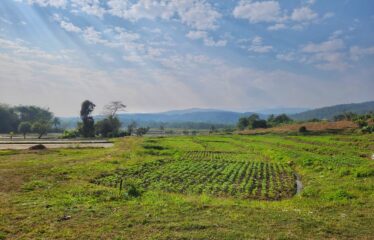 ขายที่ดินแปลงสวยวิวเขาวิวทุ่งนา สวยมาก ที่ตั้ง ต.สันป่ายาง อ.แม่แตง จ.เชียงใหม่