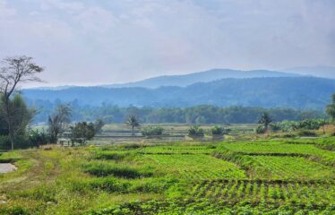 ขายที่ดินแปลงสวยวิวเขาวิวทุ่งนา สวยมาก ที่ตั้ง ต.สันป่ายาง อ.แม่แตง จ.เชียงใหม่