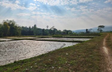 ขายที่ดินแปลงสวยวิวเขาวิวทุ่งนา สวยมาก ที่ตั้ง ต.สันป่ายาง อ.แม่แตง จ.เชียงใหม่