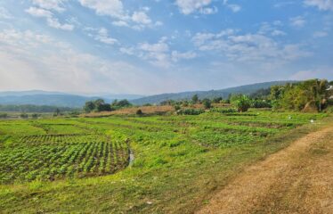 ขายที่ดินแปลงสวยวิวเขาวิวทุ่งนา สวยมาก ที่ตั้ง ต.สันป่ายาง อ.แม่แตง จ.เชียงใหม่