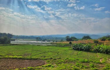 ขายที่ดินแปลงสวยวิวเขาวิวทุ่งนา สวยมาก ที่ตั้ง ต.สันป่ายาง อ.แม่แตง จ.เชียงใหม่