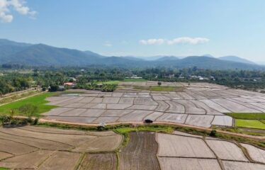 ขายที่ดินแปลงสวย ราคาถูกมีโฉนด ดินดีน้ำดี ที่ตั้ง ต.บ้านเป้า อ.แม่แตง จ.เชียงใหม่