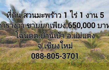 ขายสวนมะพร้าวราคาถูกโฉนด มีวิวเขา ที่ตั้ง ต.บ้านเป้า อ.แม่แตง จ.เชียงใหม่