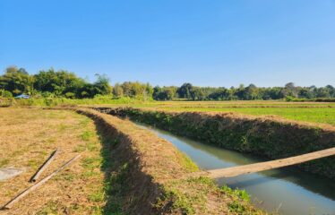 ขายที่นา วิวเขา ติดลำเหมืองติดถนน มีไฟฟ้า ที่ตั้ง ต.สันป่ายาง อ.แม่แตง จ.เชียงใหม่